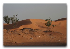 Mauritania / モーリタニア